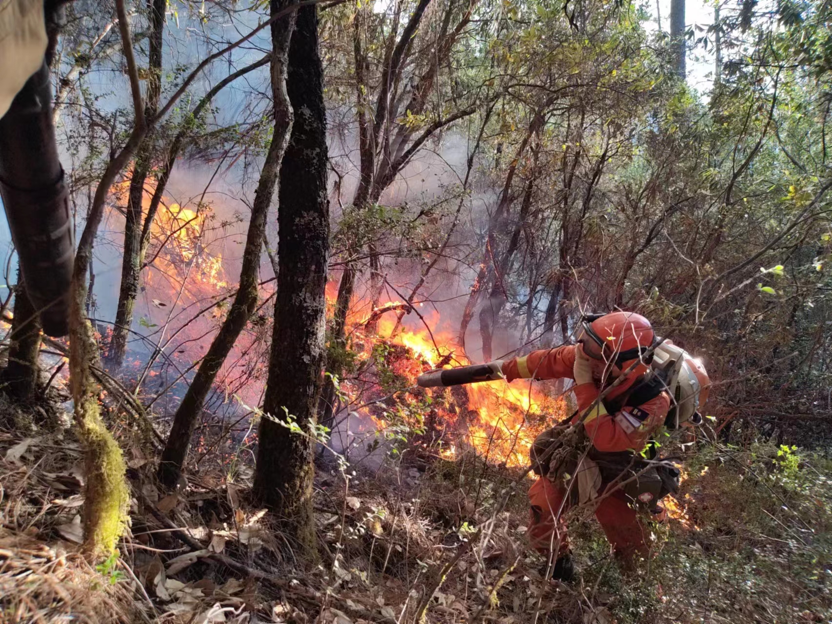5月27日,木里发生森林火灾,四川森林消防超400人参与扑救.