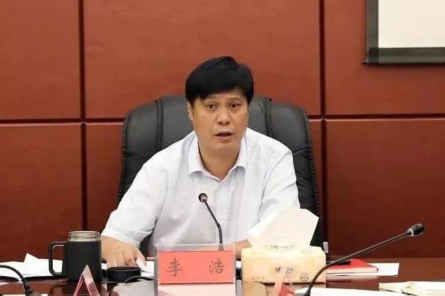 东北往事之黑道风云20年小说