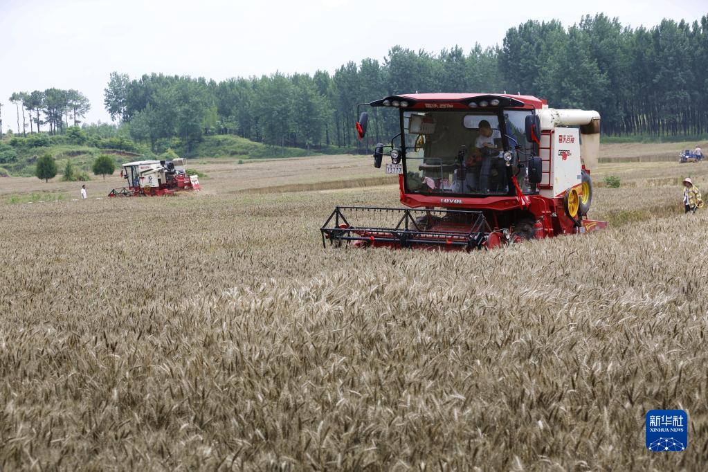 眼下正值河南小麦成熟收获期,河南各地农业部门采取多种措施,组织农机