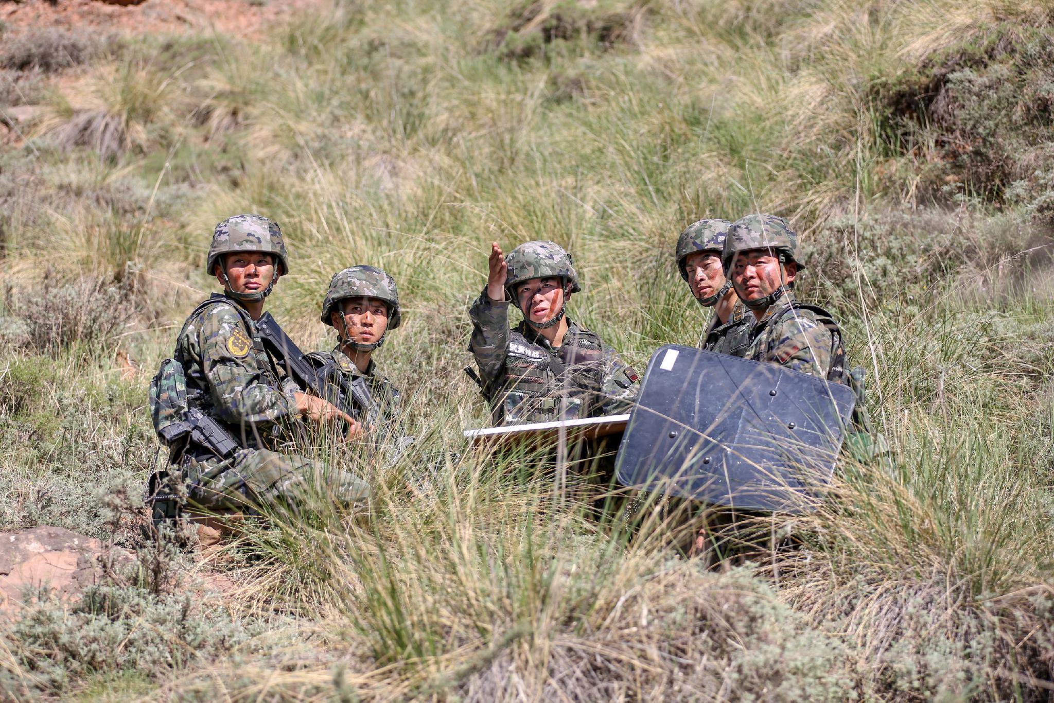 武警青海总队机动某支队:荒野"炼"兵淬锋芒_新浪财经_新浪网