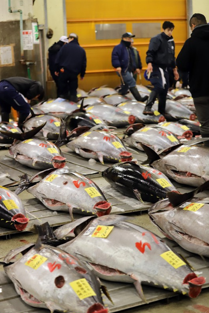 日本东京,筑地水产市场(资料图)