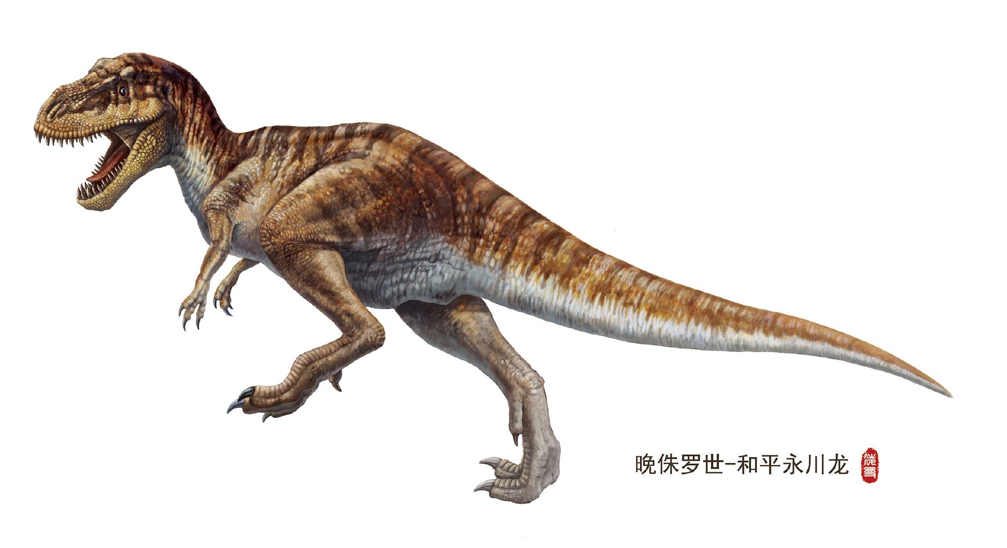 去四川"侏罗纪公园"!|恐龙_新浪财经_新浪网