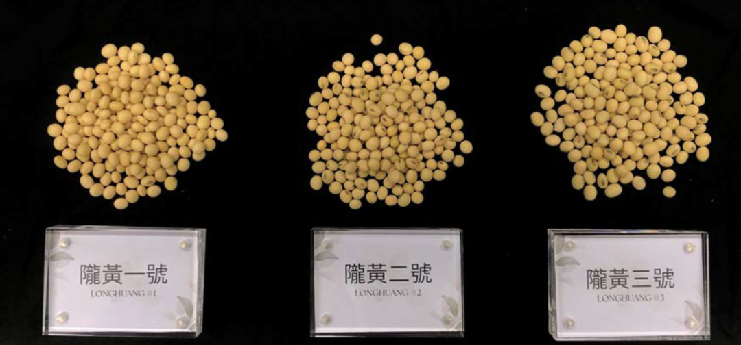 科学院张国宏研究员的合作成果农业生物技术国家重点实验室主任林汉