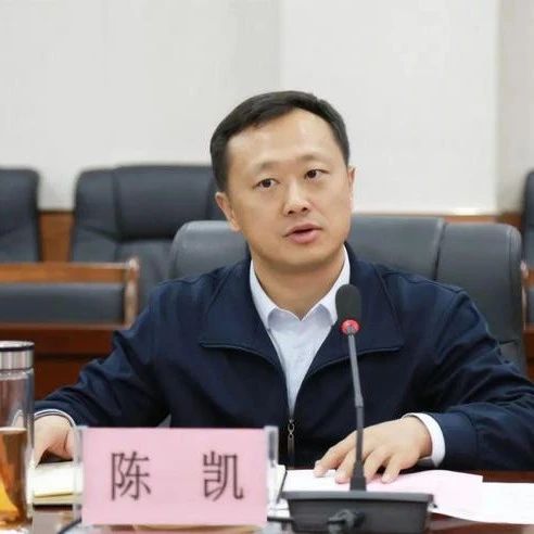 “80后”陈凯,当选克拉玛依市市长|新疆|陈凯|克拉玛依市|清华大学_新浪新闻