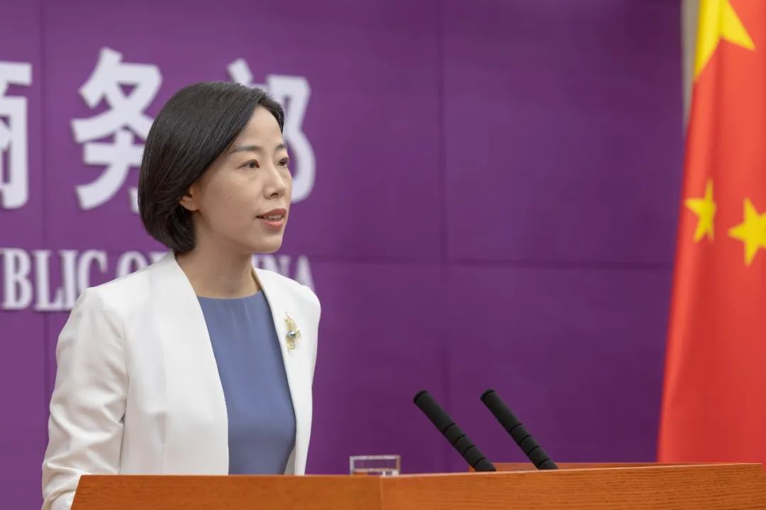 中国加入DEPA总体进展积极|中国_新浪财经_新浪网