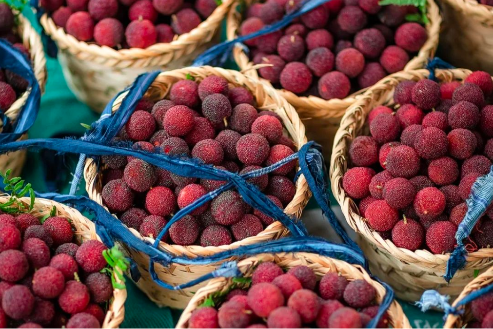 杨梅即将上市!|苏州市_新浪财经_新浪网