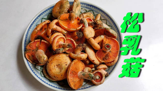 松乳菇，市场最常见的野生菌……|野生菌_新浪新闻