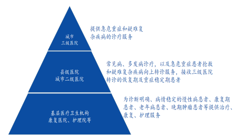 图:分级诊疗示意图,来源:国元证券