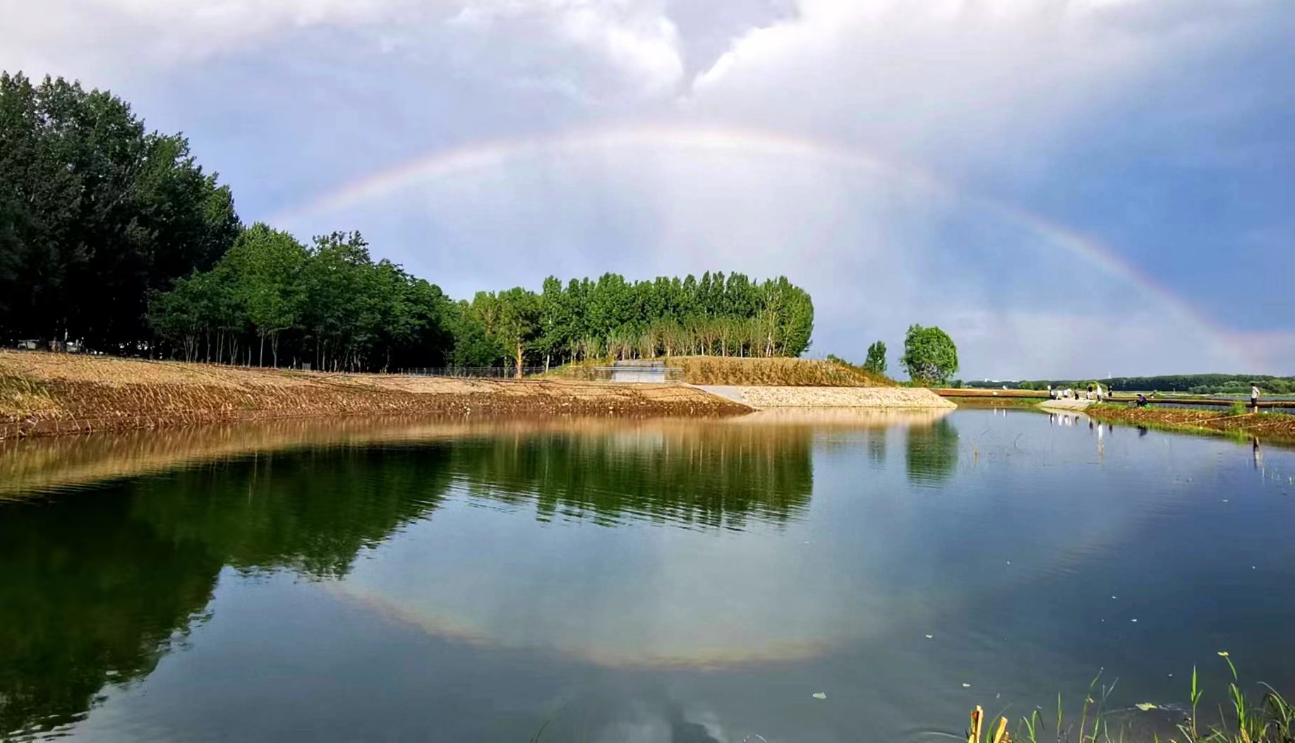 下午,昌平区沙河水库湿地雨后彩虹. 周明星 摄