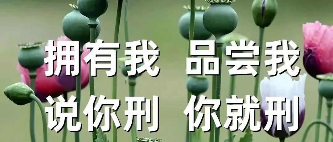不会吧不会吧,这种离谱谣言都有人信?|刑法_新浪新闻
