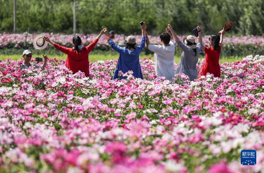 　　6月3日，游客在三家子村中草药种植基地留影。新华社记者 龙雷 摄