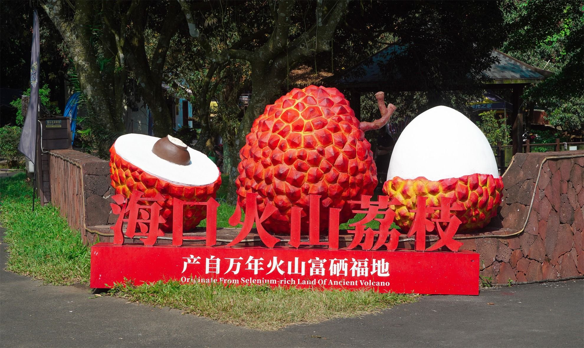 海口满城都是荔枝味,热烈的夏天由此开启__财经头条