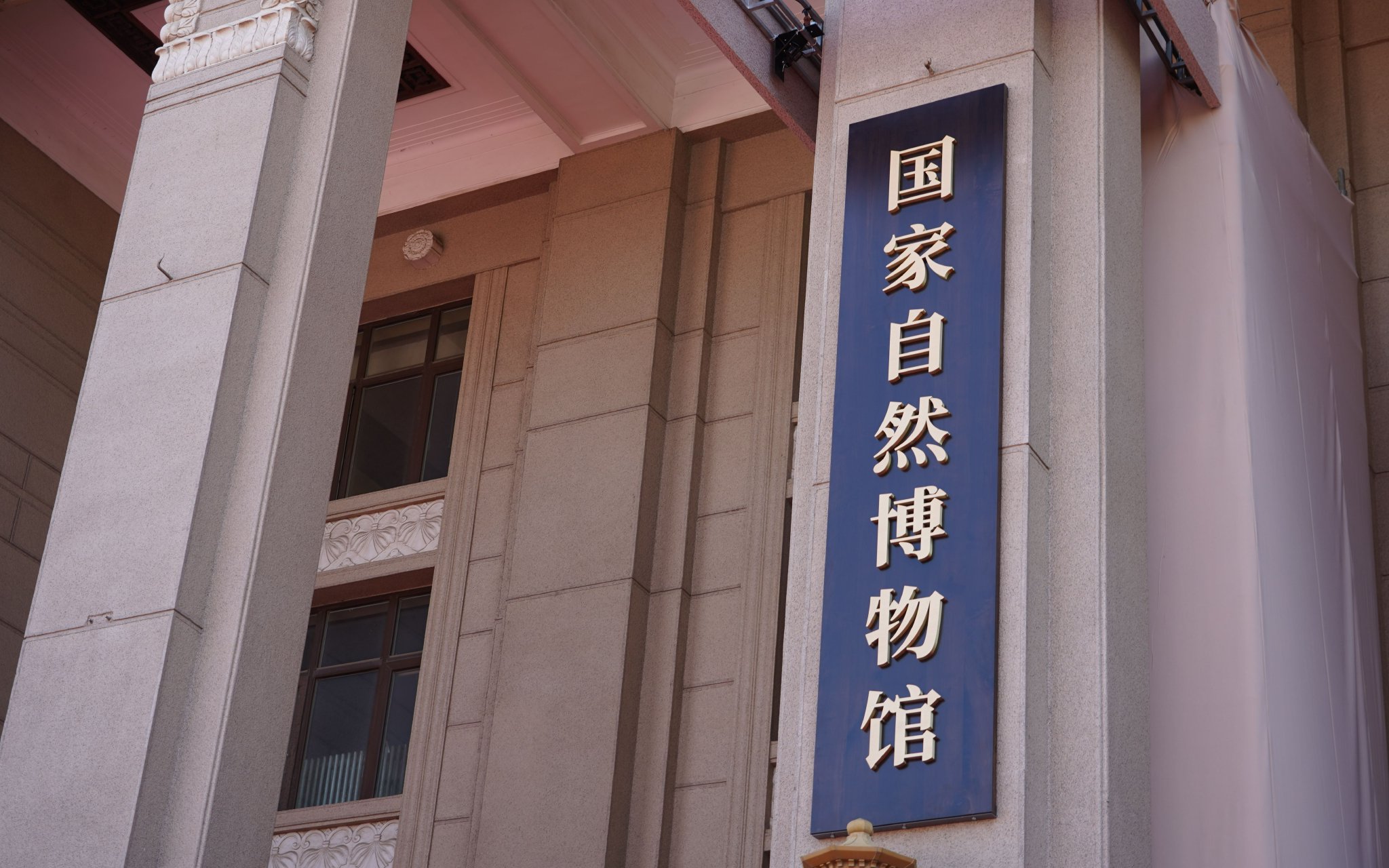 国家自然博物馆向社会公开征集标识设计方案
