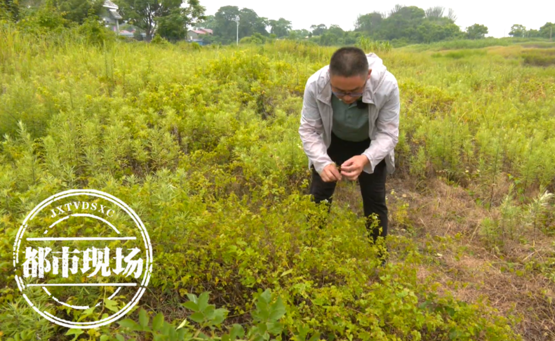 太罕见!全国首次!就在江西南昌……|浙江省_新浪财经_新浪网