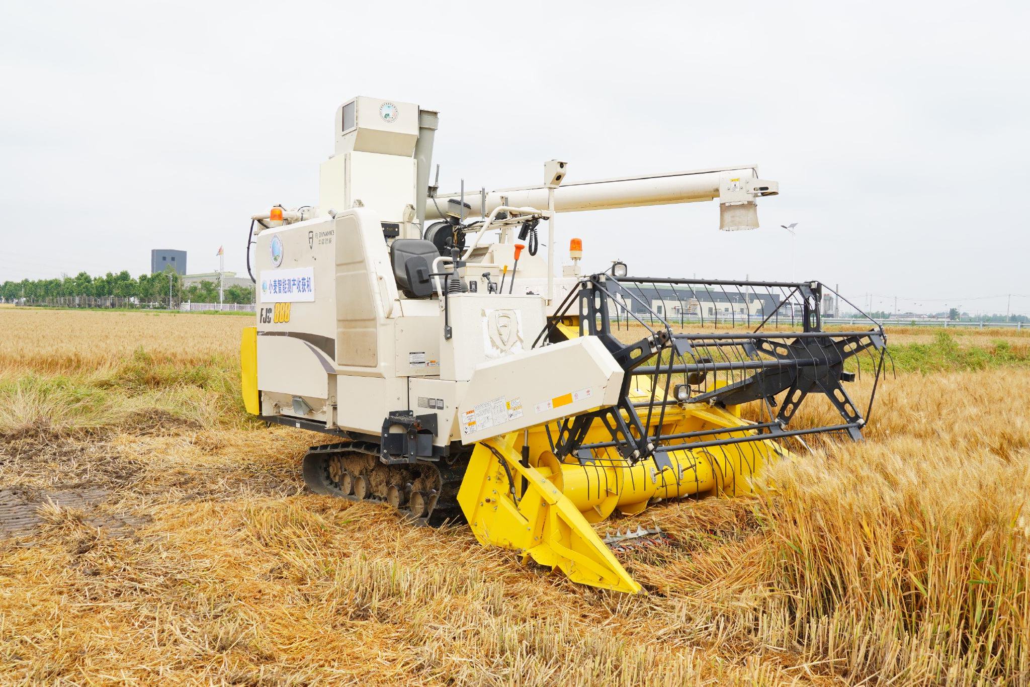 小麦智能测产收获机正在田间作业.俞佳宁68摄
