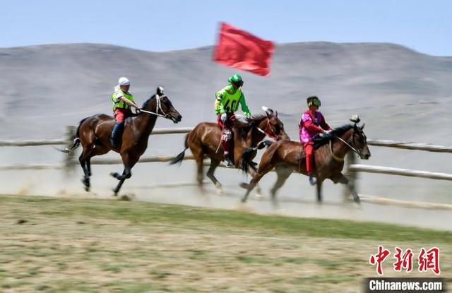草原骑手骑着马儿,在赛道内你追我赶. 刘新 摄