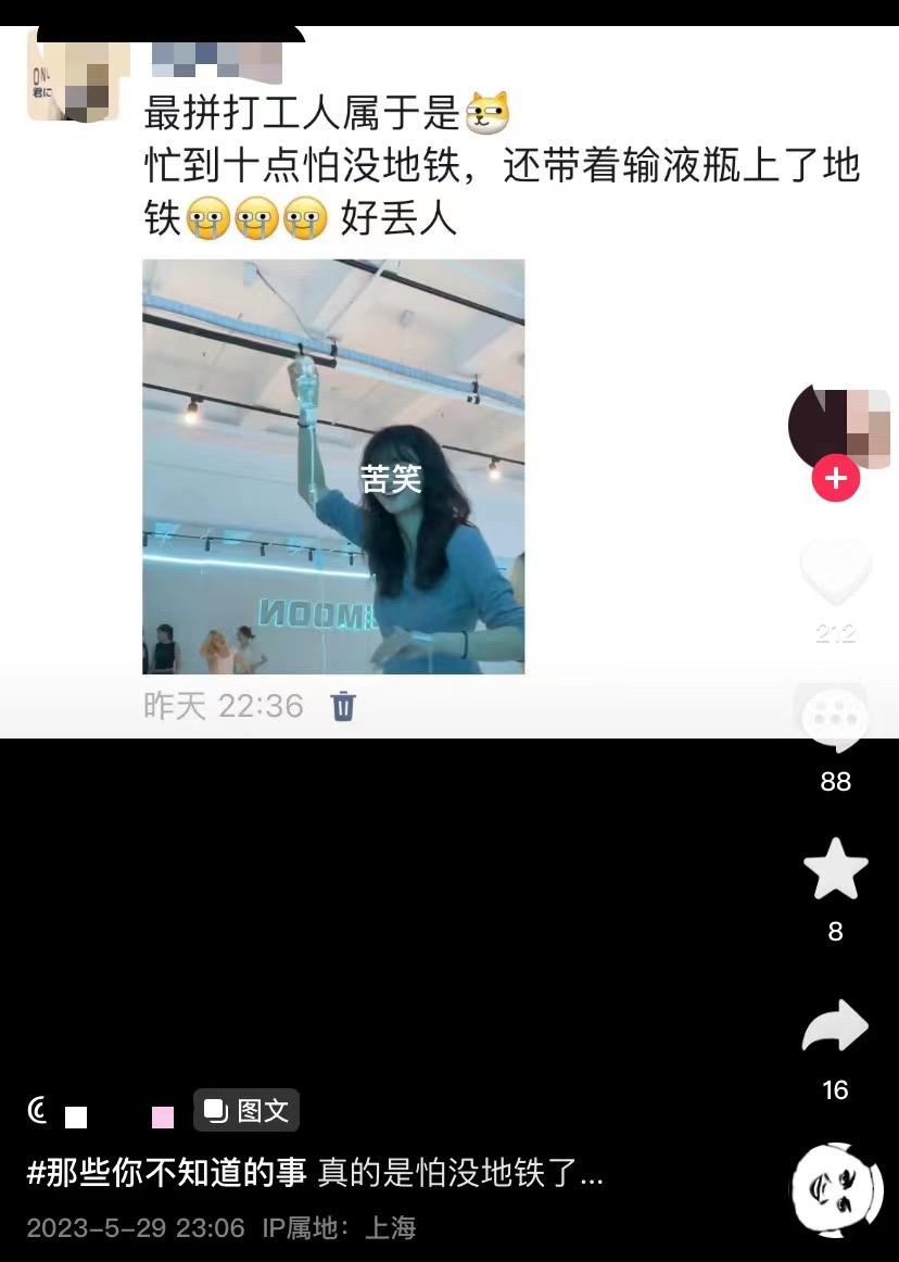 巴黎动物园私享指南：在狮吼与企鹅凝视中开派对