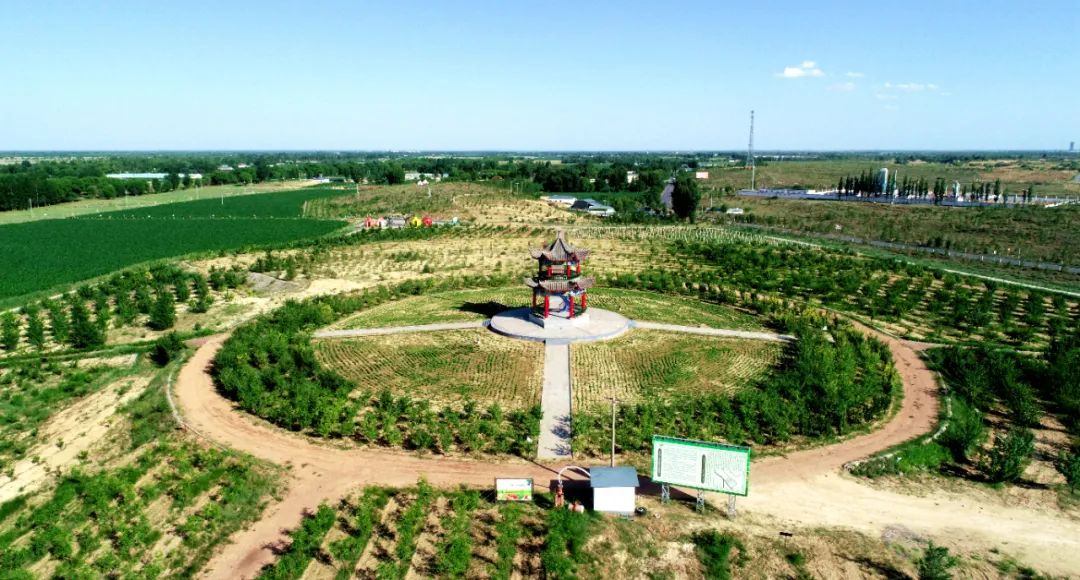 美翻了我的村第74期内蒙古自治区乌审旗嘎鲁图镇文明新风扑面来大漠