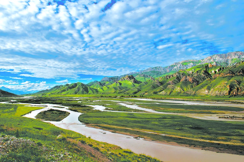 玛多黄河源 摄影:杨少英