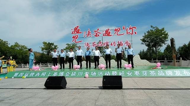 延川短视频seo优势