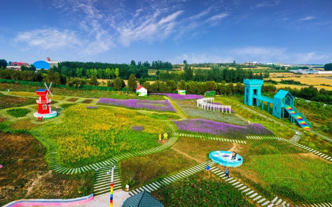 龙岗人文小镇景区四季花海景观.管俊卿 摄