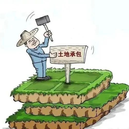 老人去世后，土地承包经营权能由子女继承吗？