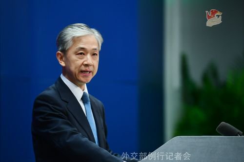 汪文斌 资料图 图源:外交部网站