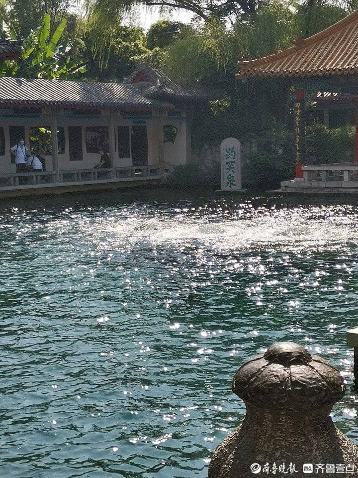 泉域散笔记|水流|游者|泉眼_新浪新闻