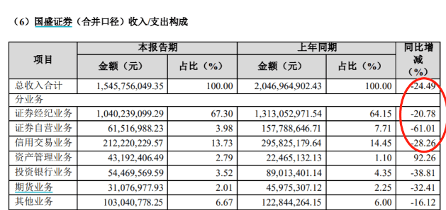 国盛证券年报截图