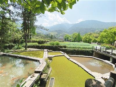 浙江省丽水市青田县方山乡龙现村一景. 本报记者 林子涵摄