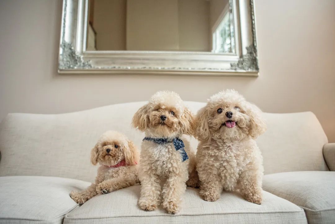 医药健康养老展会信息_2026年展会预告会展排期 -CNENA会展门户