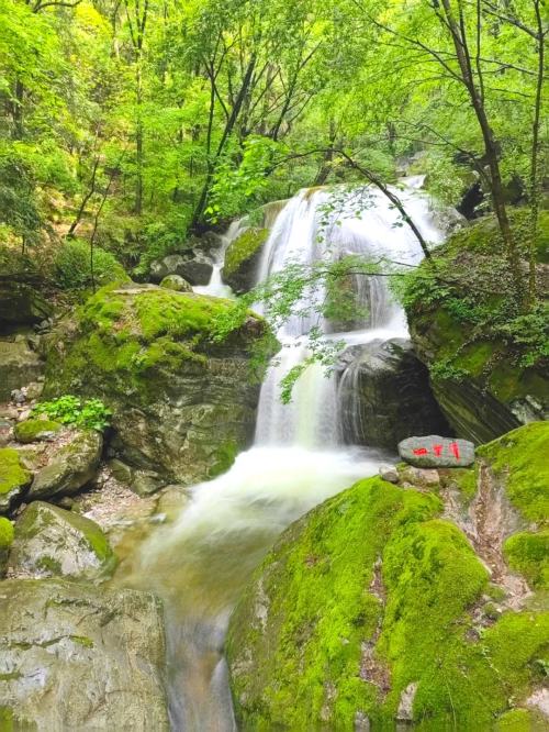 高考减压福利!牛背梁景区6月,7月,8月对全国中高考学子免门票