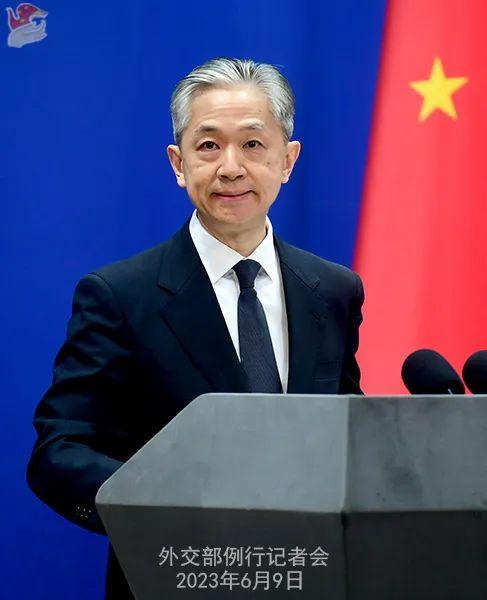 汪文斌 图源:外交部网站