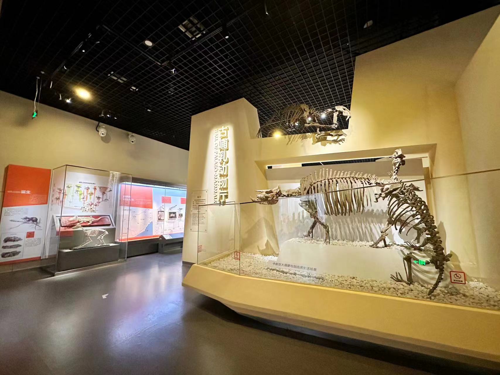 国家自然博物馆新展开启一场穿越之旅|北京自然博物馆_新浪财经_新浪