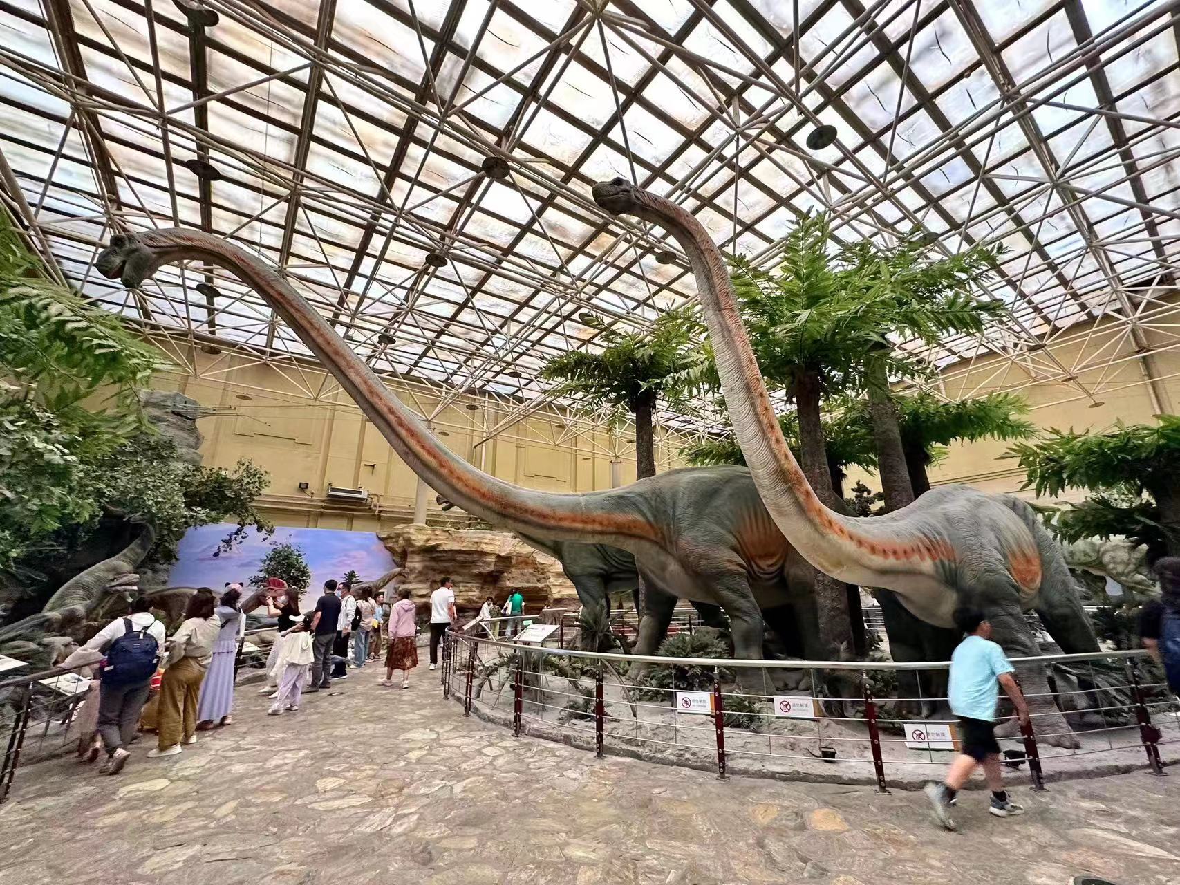 国家自然博物馆新展开启一场穿越之旅|北京自然博物馆_新浪财经_新浪