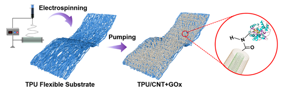 （来源：Advanced Functinoal Materials）