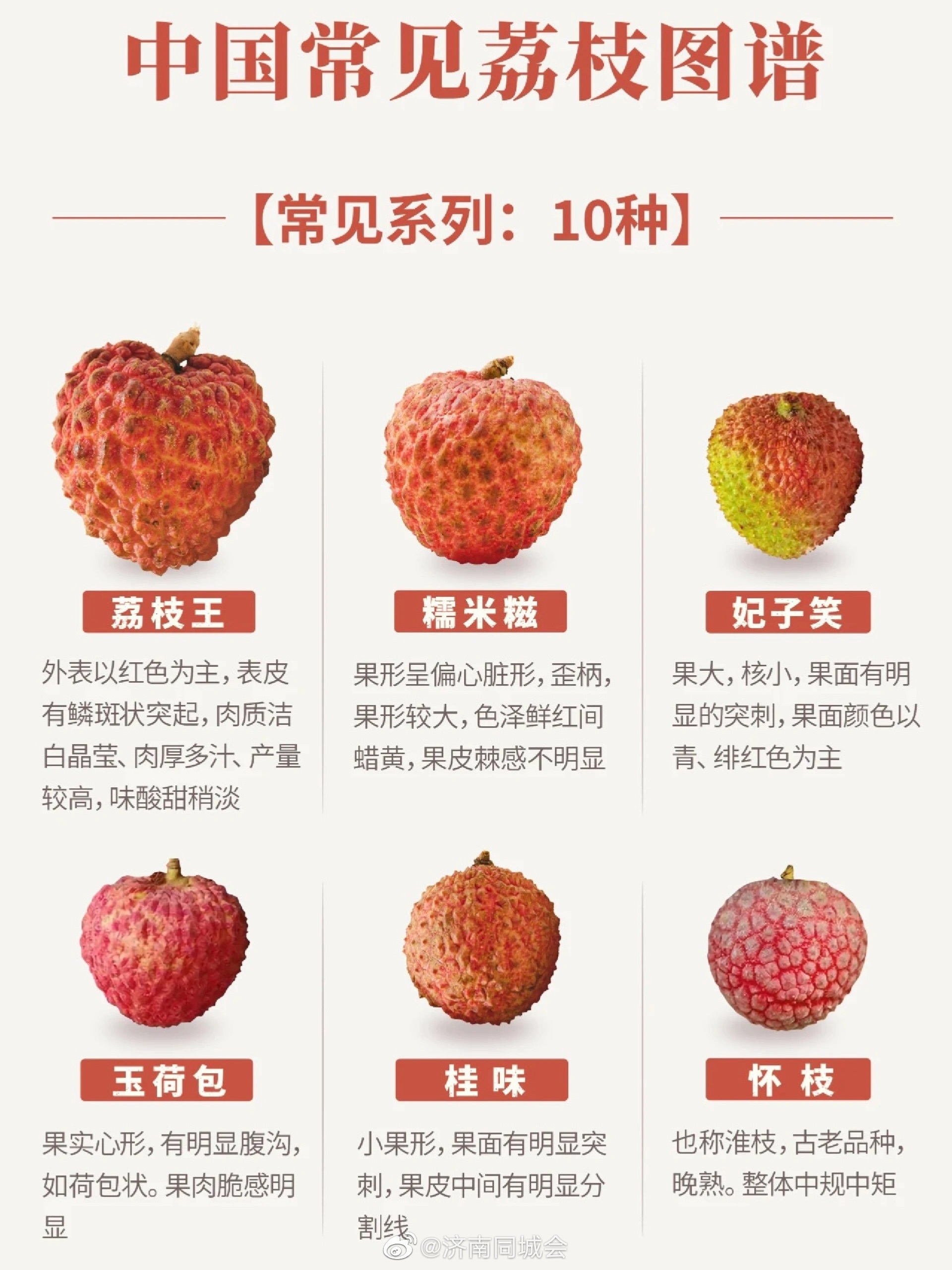 中国人的荔枝宇宙,到底有多大!(地道风物)|宇宙_新浪新闻