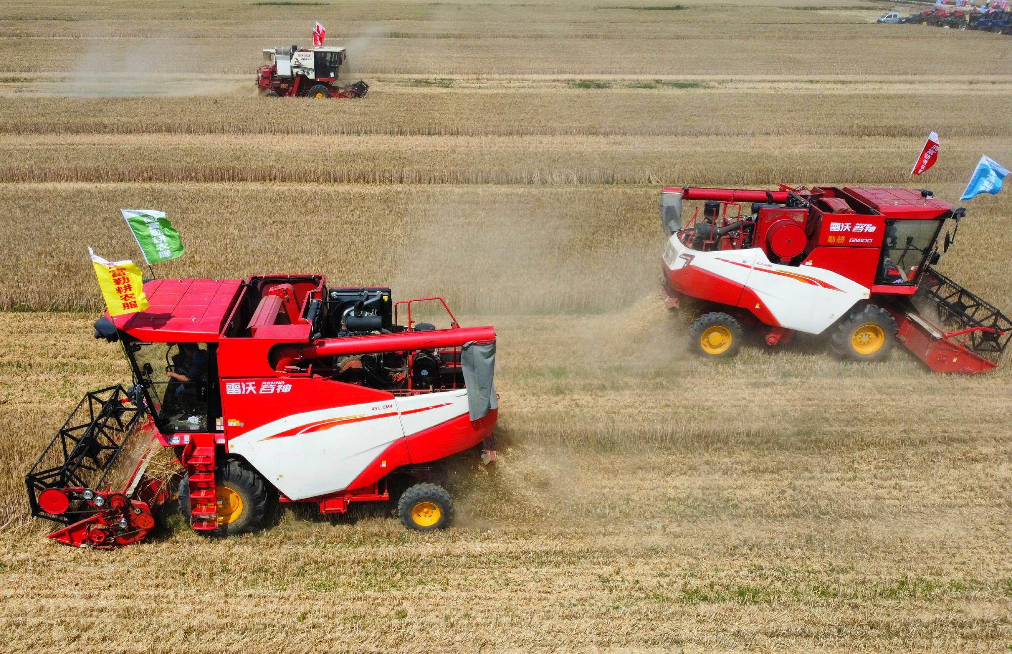 青岛农业农村局供图