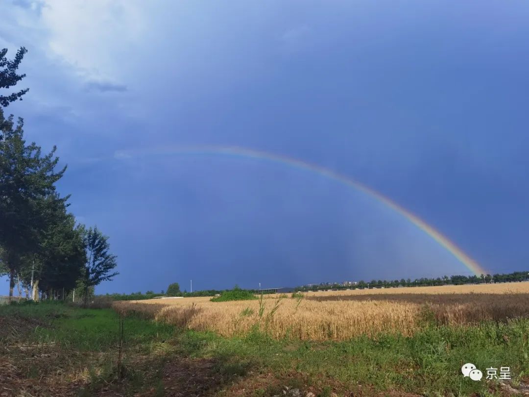 玉渊潭公园的彩虹.(吴超英 摄)