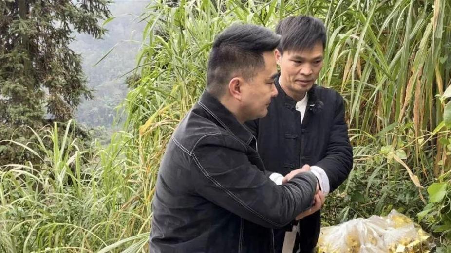 刘晓庆拒互动自比大熊猫，王婆神回复撕下体面！