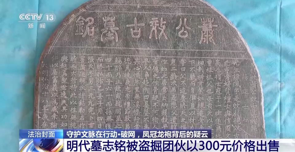 胃和耳朵，哪个和晕车关系更大？