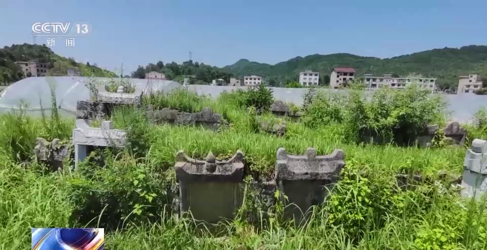 国资动态 | 城建集团：精修“最美赛道”，护航马拉松开跑v8.3.4 官方安卓版
