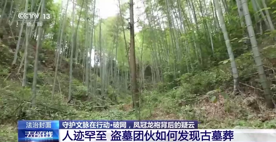五一首日黄石多个景区迎来客流高峰v2.7.3 官方安卓版
