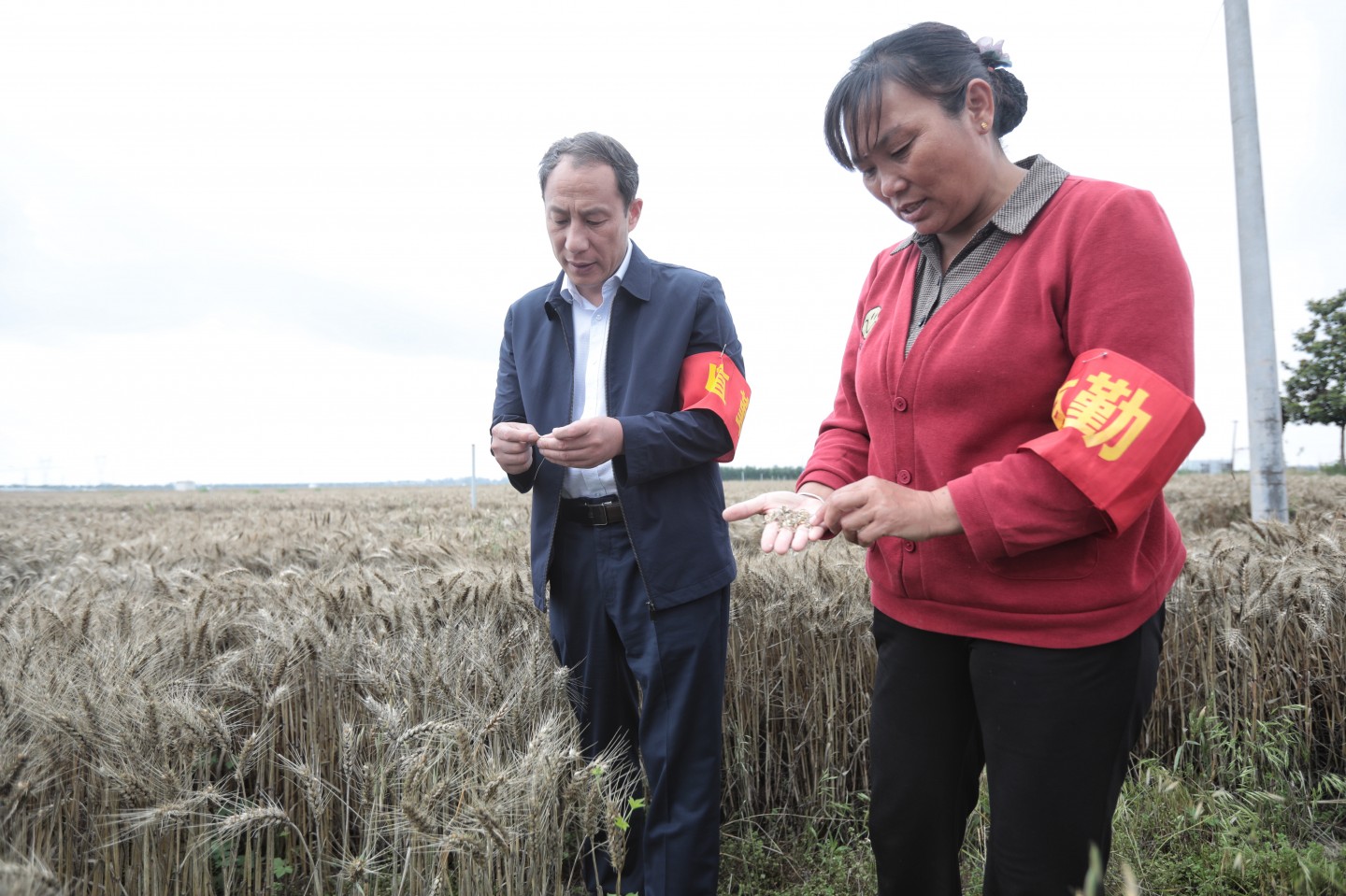 tom uzun kopkan haya lazim