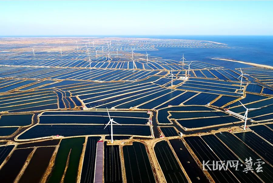 新版水印01唐山市乐亭县姜各庄镇规模化海参养殖基地.刘江涛摄