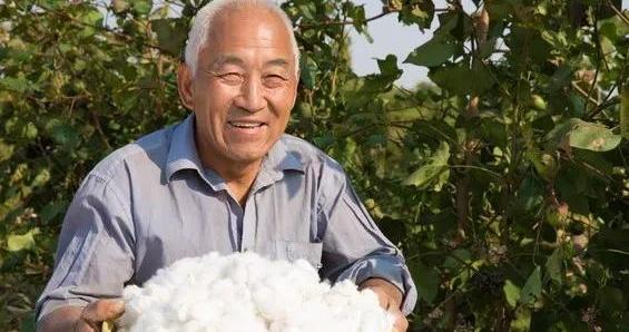 三农问题探讨：何谓乡村振兴？农民过上好日子才是真正的乡村振兴|乡村|农民|好日子_新浪新闻