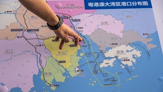 广州港南沙港区 环球网记者舒乙桁摄