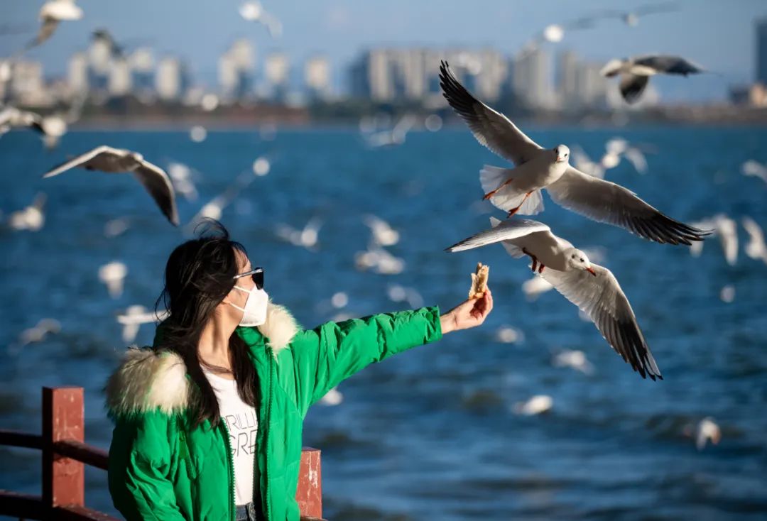 人与自然:相看两不厌