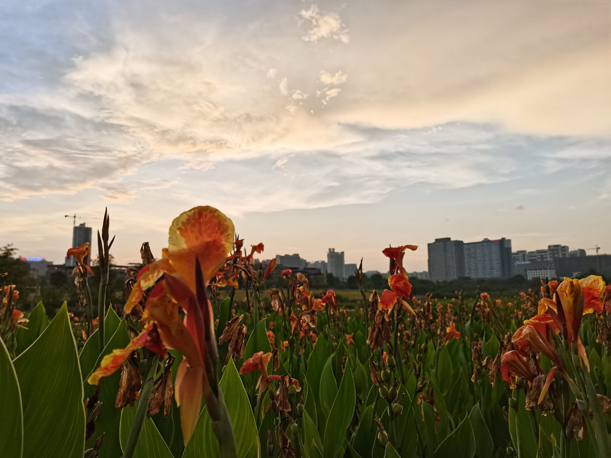 位于南宁高新区的明月湖公园.科技日报记者刘昊摄