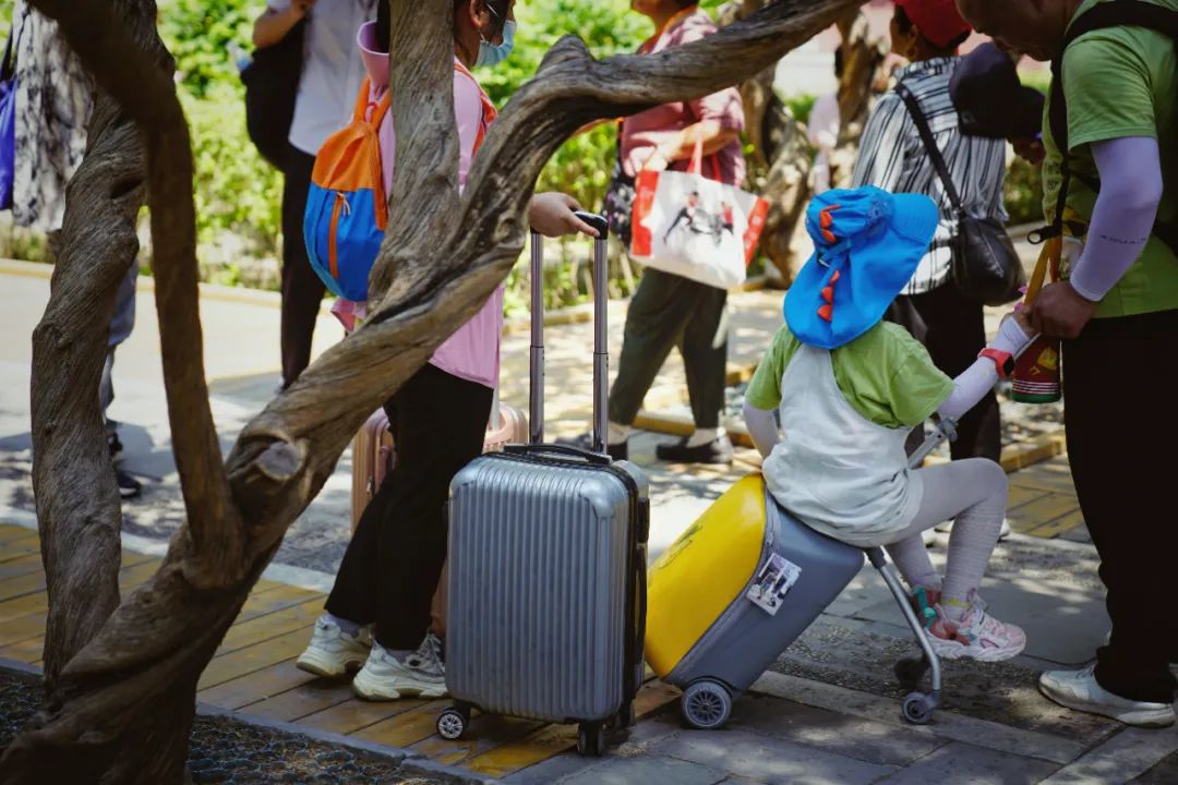 2023年6月15日,故宫博物院御花园,游客拖着行李车游玩,石子路面可能